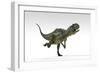 Yangchuanosaurus, Dinosaur, White Background-null-Framed Art Print