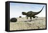 Yangchuanosaurus Running across a Barren Landscape-null-Framed Stretched Canvas