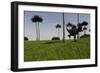 Yangchuanosaurus Running across a Grassy Field-null-Framed Art Print