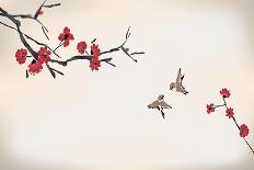 Blossom Painting-yangzai-Photographic Print