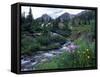 Yankee Boy Basin, San Juan Mts, CO-David Carriere-Framed Stretched Canvas