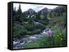 Yankee Boy Basin, San Juan Mts, CO-David Carriere-Framed Stretched Canvas