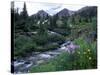 Yankee Boy Basin, San Juan Mts, CO-David Carriere-Stretched Canvas