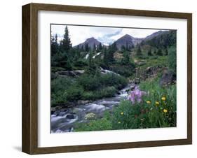 Yankee Boy Basin, San Juan Mts, CO-David Carriere-Framed Premium Photographic Print