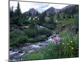 Yankee Boy Basin, San Juan Mts, CO-David Carriere-Mounted Premium Photographic Print