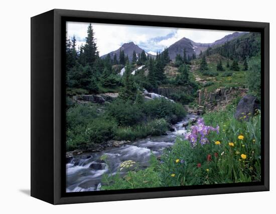 Yankee Boy Basin, San Juan Mts, CO-David Carriere-Framed Stretched Canvas