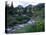 Yankee Boy Basin, San Juan Mts, CO-David Carriere-Stretched Canvas