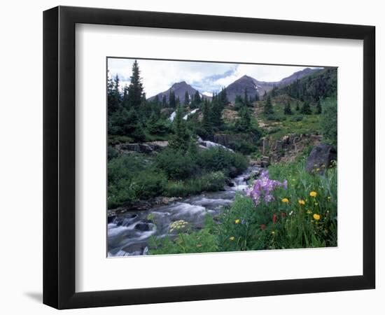 Yankee Boy Basin, San Juan Mts, CO-David Carriere-Framed Photographic Print