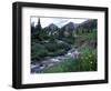 Yankee Boy Basin, San Juan Mts, CO-David Carriere-Framed Photographic Print