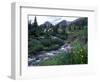 Yankee Boy Basin, San Juan Mts, CO-David Carriere-Framed Photographic Print