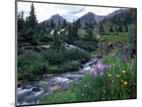 Yankee Boy Basin, San Juan Mts, CO-David Carriere-Mounted Photographic Print