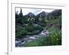 Yankee Boy Basin, San Juan Mts, CO-David Carriere-Framed Photographic Print