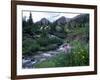 Yankee Boy Basin, San Juan Mts, CO-David Carriere-Framed Photographic Print