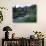 Yankee Boy Basin, San Juan Mts, CO-David Carriere-Photographic Print displayed on a wall