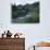 Yankee Boy Basin, San Juan Mts, CO-David Carriere-Photographic Print displayed on a wall