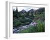 Yankee Boy Basin, San Juan Mts, CO-David Carriere-Framed Photographic Print