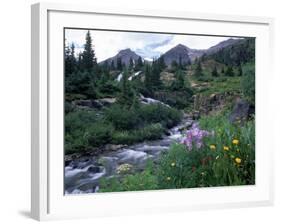 Yankee Boy Basin, San Juan Mts, CO-David Carriere-Framed Photographic Print