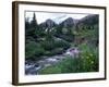 Yankee Boy Basin, San Juan Mts, CO-David Carriere-Framed Photographic Print