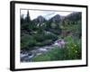 Yankee Boy Basin, San Juan Mts, CO-David Carriere-Framed Photographic Print