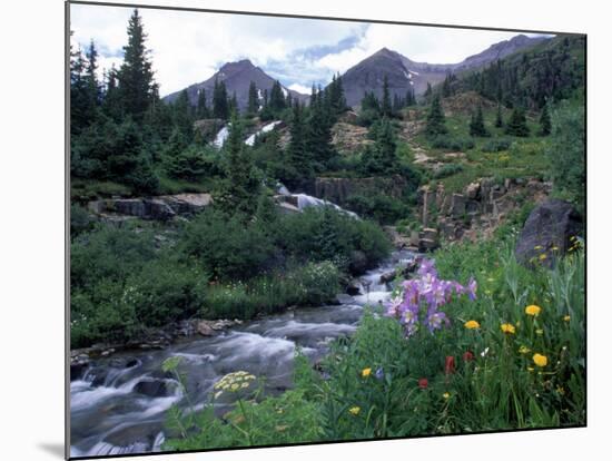 Yankee Boy Basin, San Juan Mts, CO-David Carriere-Mounted Photographic Print