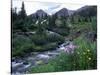 Yankee Boy Basin, San Juan Mts, CO-David Carriere-Stretched Canvas