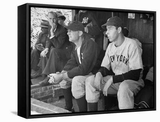 Yankee Great Joe Dimaggio Sitting in Dugout, Watching Game. Yankees Vs. Brooklyn Dodgers-Carl Mydans-Framed Stretched Canvas
