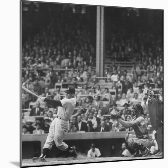 Yankee Mickey Mantle in Action, Swinging Bat with Catcher and Umpire Behind Him-Grey Villet-Mounted Premium Photographic Print