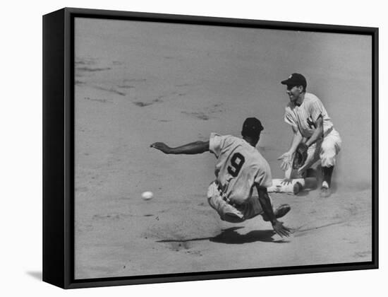 Yankee Phil Rizzuto Waiting to Catch the Ball During the American League Pennant Race-Grey Villet-Framed Stretched Canvas