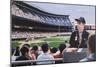 Yankee Stadium, 1992-Max Ferguson-Mounted Giclee Print