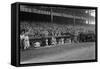 Yankee Stadium Baseball Field Opening Day Photograph - New York, NY-Lantern Press-Framed Stretched Canvas