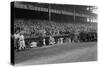 Yankee Stadium Baseball Field Opening Day Photograph - New York, NY-Lantern Press-Stretched Canvas