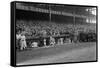 Yankee Stadium Baseball Field Opening Day Photograph - New York, NY-Lantern Press-Framed Stretched Canvas
