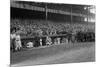 Yankee Stadium Baseball Field Opening Day Photograph - New York, NY-Lantern Press-Mounted Art Print