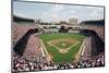 Yankee Stadium, Bronx, New York-Ira Rosen-Mounted Art Print