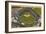 Yankee Stadium, New York City-null-Framed Art Print