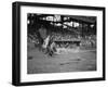 Yankees Lou Gehrig Scores as Joe Harris' Throw Gets Away from Catcher Hank Severeid of Senators-null-Framed Photo