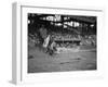 Yankees Lou Gehrig Scores as Joe Harris' Throw Gets Away from Catcher Hank Severeid of Senators-null-Framed Photo