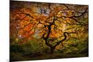 Wood Mount