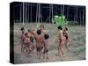 Yanomami Children, Brazil, South America-Robin Hanbury-tenison-Stretched Canvas