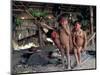 Yanomami Children, Brazil, South America-Robin Hanbury-tenison-Mounted Photographic Print