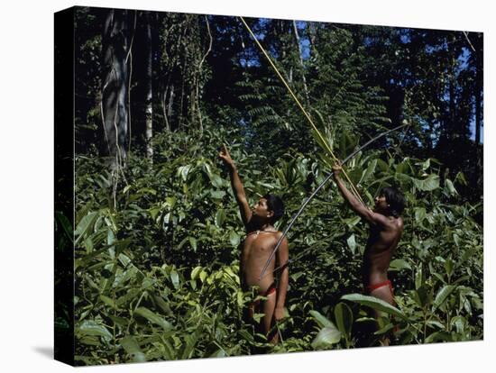 Yanomami Indian Hunters, Amazonas, Venezuela-null-Stretched Canvas