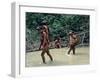 Yanomami Indians Fishing, Brazil, South America-Robin Hanbury-tenison-Framed Photographic Print