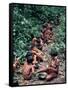 Yanomami on the Way to a Feast, Brazil, South America-Robin Hanbury-tenison-Framed Stretched Canvas