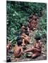 Yanomami on the Way to a Feast, Brazil, South America-Robin Hanbury-tenison-Mounted Photographic Print