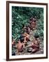 Yanomami on the Way to a Feast, Brazil, South America-Robin Hanbury-tenison-Framed Photographic Print