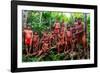 Yanomami tribe man standing in the jungle, southern Venezuela-Michael Runkel-Framed Photographic Print