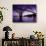 Yaquina Bay Bridge, Newport, Oregon, USA-null-Photographic Print displayed on a wall