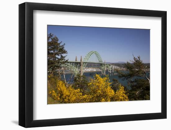 Yaquina Bay Bridge on Highway 101, Newport, Oregon, USA-Jamie & Judy Wild-Framed Photographic Print