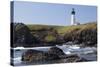 Yaquina Head Lighthouse, 1873, Newport, Oregon, USA-Jamie & Judy Wild-Stretched Canvas