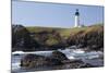 Yaquina Head Lighthouse, 1873, Newport, Oregon, USA-Jamie & Judy Wild-Mounted Photographic Print